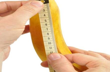 The normal size of the penis